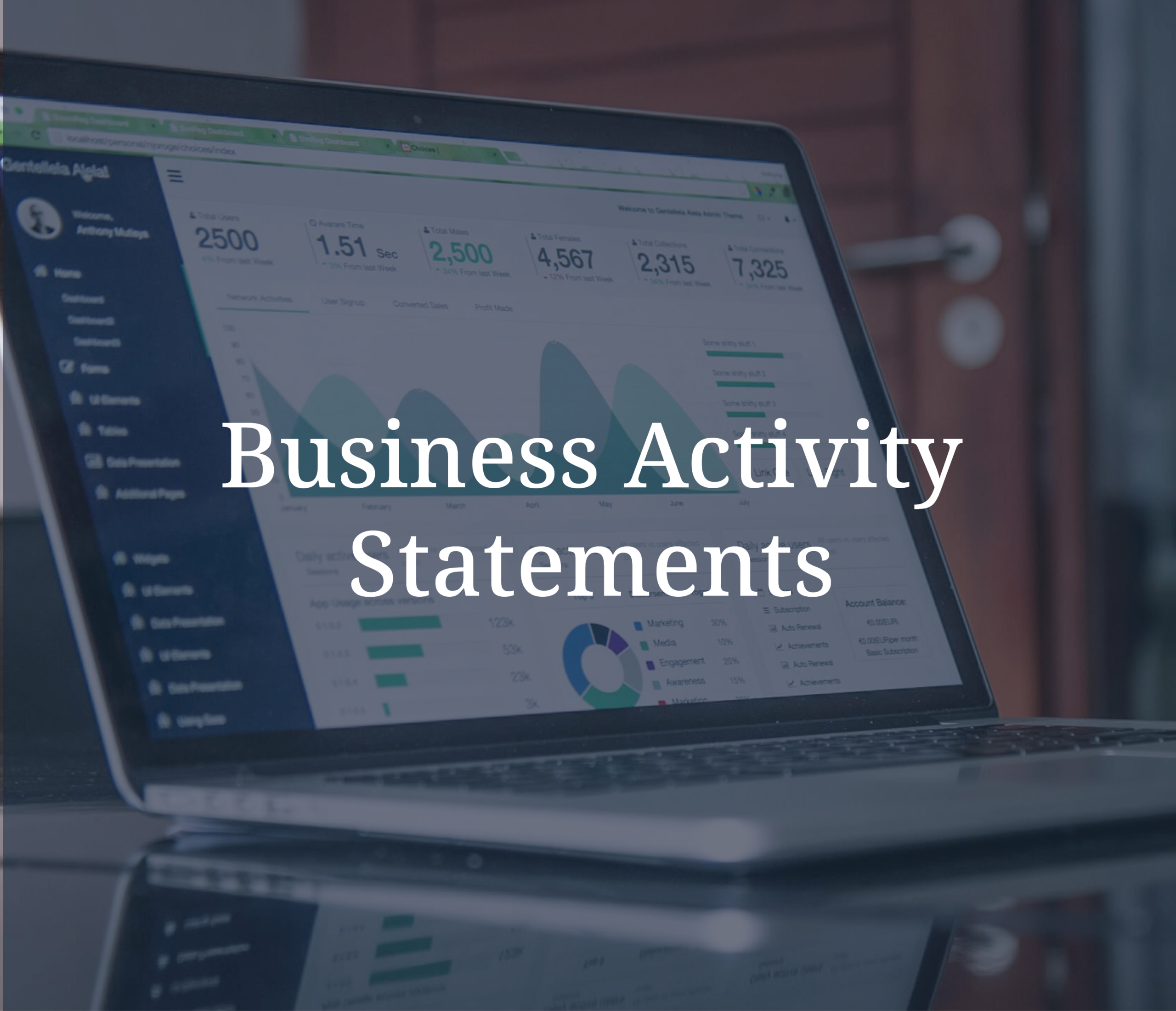 Business Activity Statements