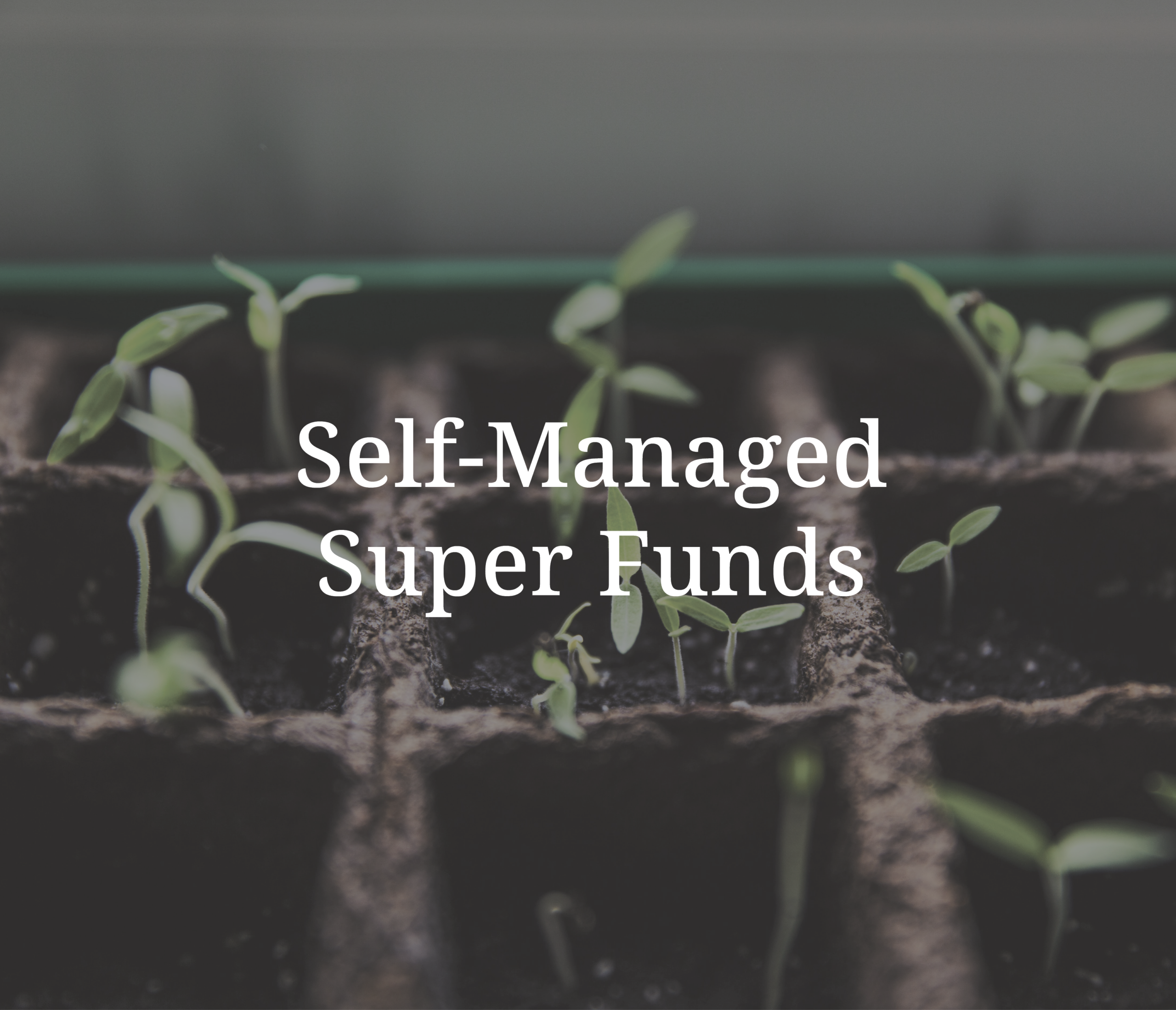 Self Managed Super Fund Setup & Advice Sunshine Coast
